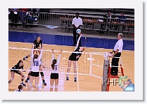 Set 1 * (300 Slides)